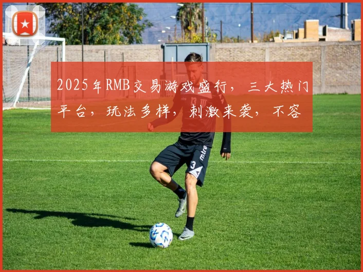 2025年RMB交易游戏盛行,三大热门平台,玩法多样,刺激来袭,不容错过